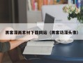 黑龙江黑客漫画素材下载网站（黑客动漫头像）